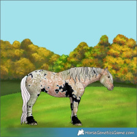 Horse Color:Watercolor White Spotted Silver Brown Ice Rabicano 