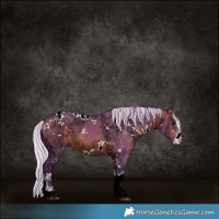 Horse Color:Watercolor White Spotted Silver Bay Ice