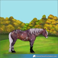 Horse Color:Watercolor White Spotted Silver Bay Ice 