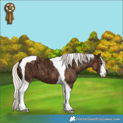 Horse Color:White Spotted Silver Black Ice Tobiano 