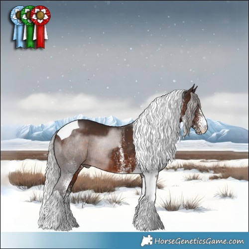 Horse Color:White Spotted Silver Brown Tobiano 
