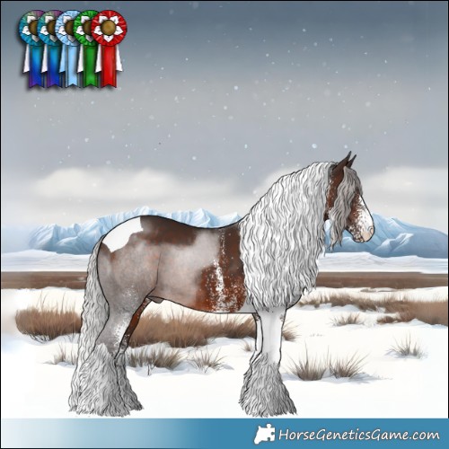 Horse Color:White Spotted Silver Brown Tobiano 