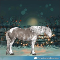 Horse Color:White Spotted Silver Black Tobiano
