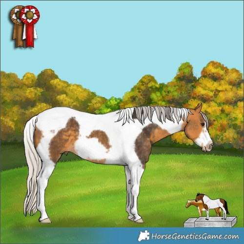 Horse Color:Silver Buckskin Tobiano Frame 