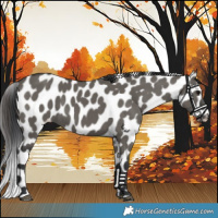Horse Color:Grullo Leopard