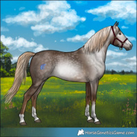Horse Color:Gray Chocolate Palomino 