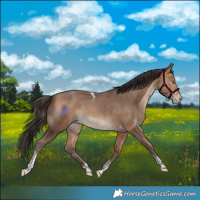 Horse Color:Sable Champagne Tobiano Rabicano