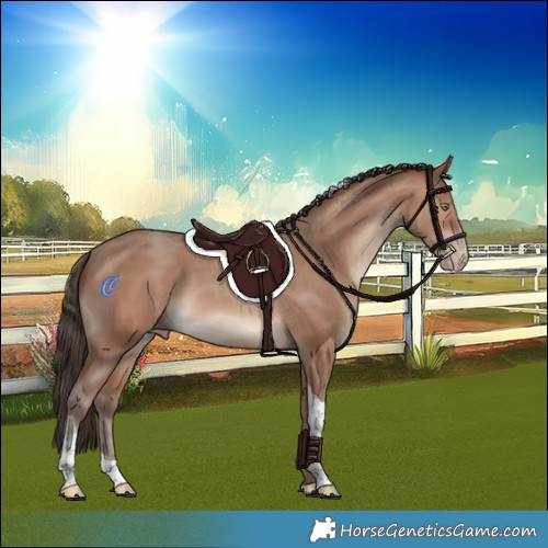 Horse Color:Sable Champagne Sabino Tobiano Rabicano
