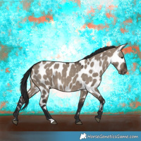 Horse Color:Brown Dun Near Leopard 