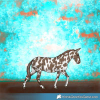 Horse Color:Liver Red Dun Tobiano Appaloosa 
