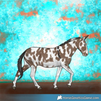 Horse Color:Liver Red Dun Tobiano Frame Appaloosa 
