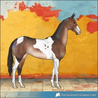 Horse Color:Bay Tobiano Rabicano 