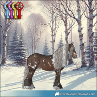 Horse Color:White Spotted Silver Brown Tobiano 