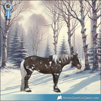 Horse Color:White Spotted Silver Brown Tobiano 