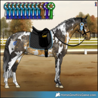 Horse Color:White Spotted Buckskin