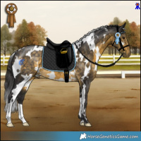 Horse Color:White Spotted Buckskin