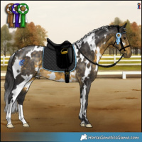 Horse Color:White Spotted Buckskin 