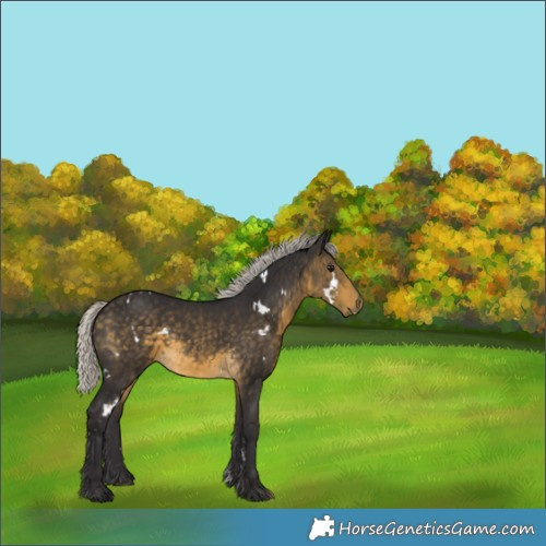 Horse Color:White Spotted Silver Buckskin 