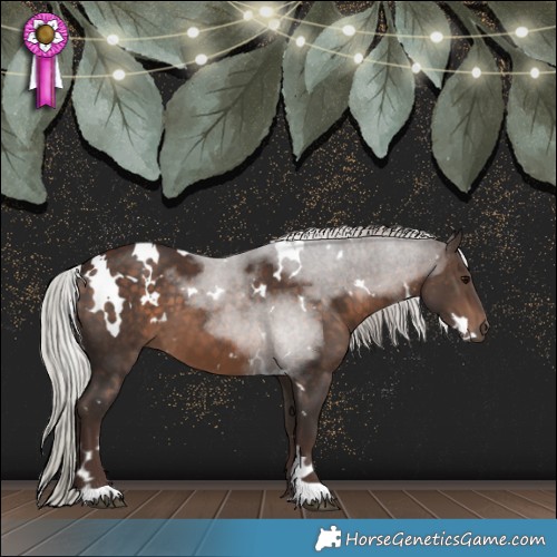 Horse Color:White Spotted Silver Brown 