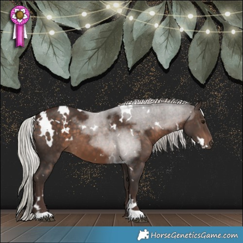 Horse Color:White Spotted Silver Brown 