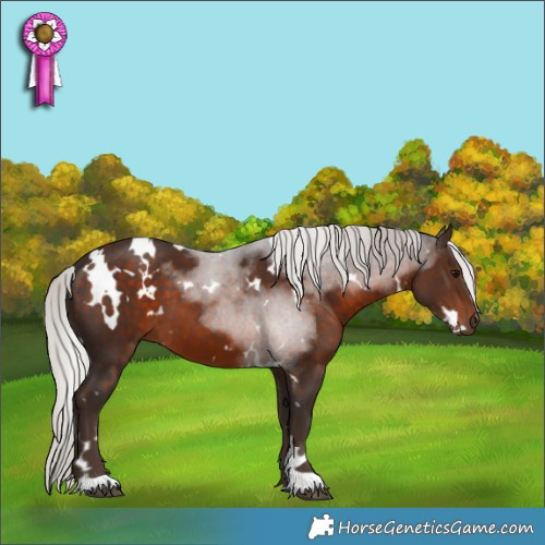 Horse Color:White Spotted Silver Brown 