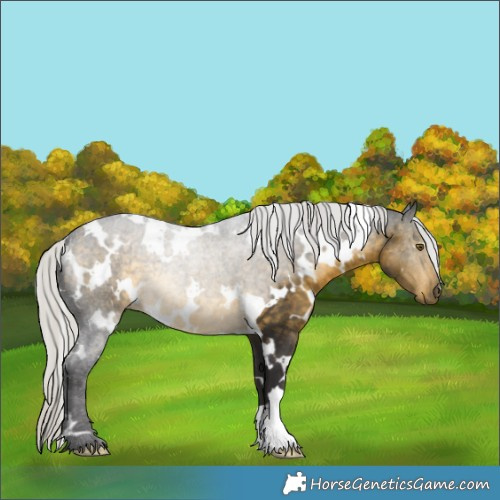 Horse Color:White Spotted Silver Buckskin 