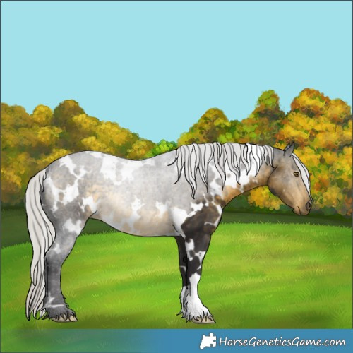 Horse Color:White Spotted Silver Buckskin 