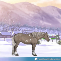 Horse Color:White Spotted Silver Grullo Tobiano 