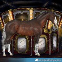 Horse Color:White Spotted Silver Brown Rabicano 