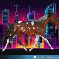 Horse Color:White Spotted Bay Tobiano Rabicano 