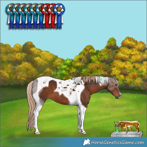 Horse Color:Liver Chestnut Tobiano 