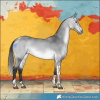 Horse Color:Bay Chinchilla Tobiano Rabicano 