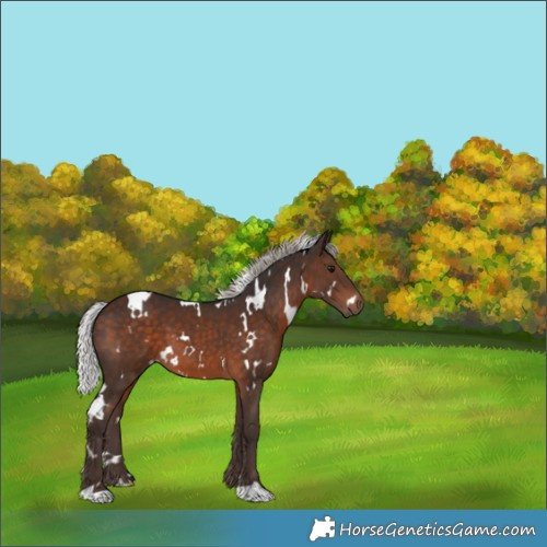 Horse Color:White Spotted Silver Brown 