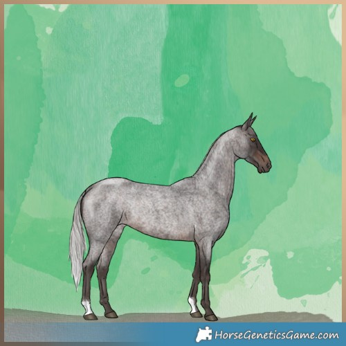 Horse Color:Silver Brown Roan Rabicano