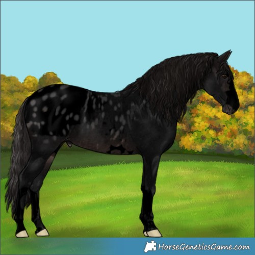 Horse Color:Void Platinum Brown Blanket 