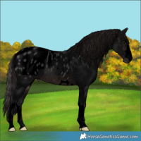 Horse Color:Void Platinum Brown Blanket