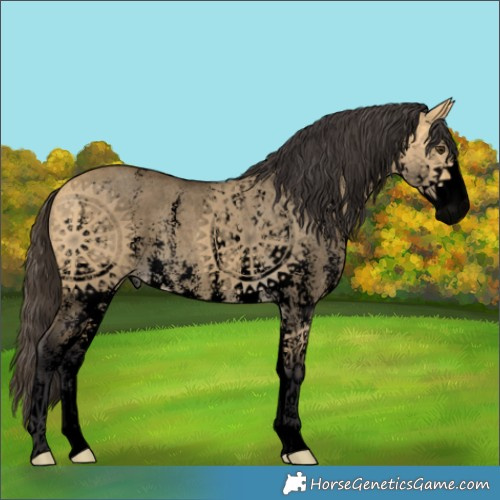 Horse Color:Void Buckskin Dun Sabino 