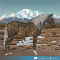 Horse Color:Silver Buckskin 