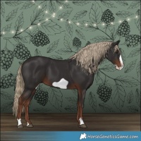 Horse Color:Liver Chestnut Frame