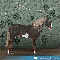 Horse Color:Liver Chestnut Frame 