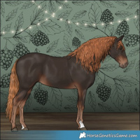Horse Color:Liver Chestnut 