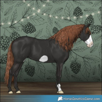 Horse Color:Liver Chestnut Frame 