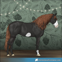 Horse Color:Liver Chestnut Frame 