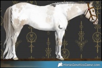 Horse Color:White Spotted Classic Cream Champagne 
