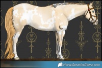 Horse Color:White Spotted Smoky Grullo Pearl Rabicano 