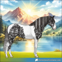 Horse Color:Smoky Black Tobiano Snowflake Varnish