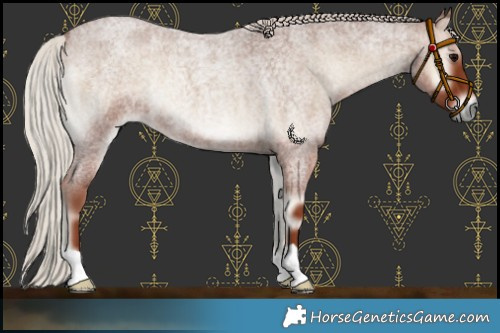 Horse Color:Silver Blue Onyx Roan 