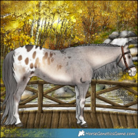 Horse Color:Liver Red Onyx Blanket