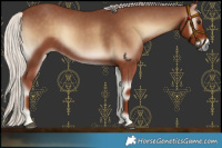 Horse Color:Silver Blue Onyx 