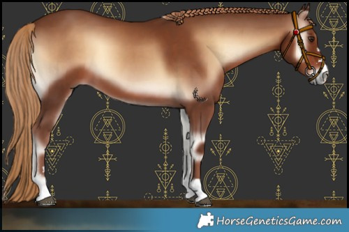 Horse Color:Red Onyx 